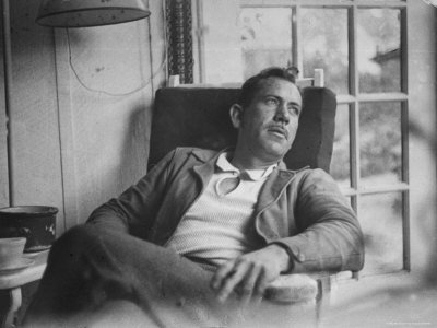 Post image for Kingsolver, Steinbeck and Me